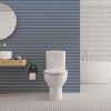 Voice controlled toilet – a hit or an unnecessary gadget?